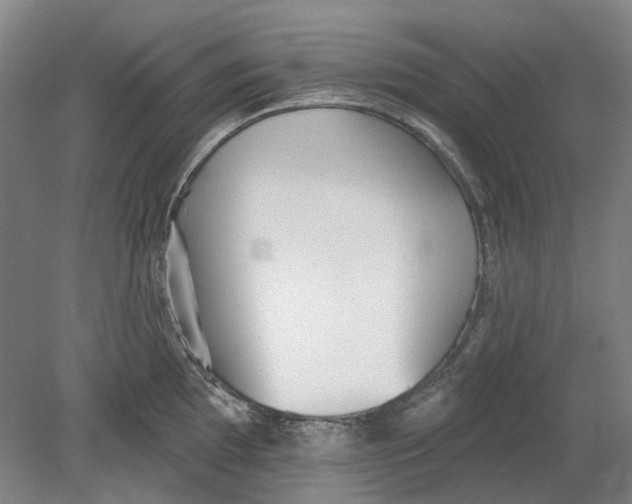 X0000080771097200701051255