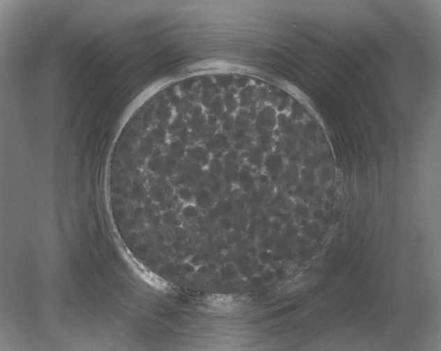 X0000080771098200701051255