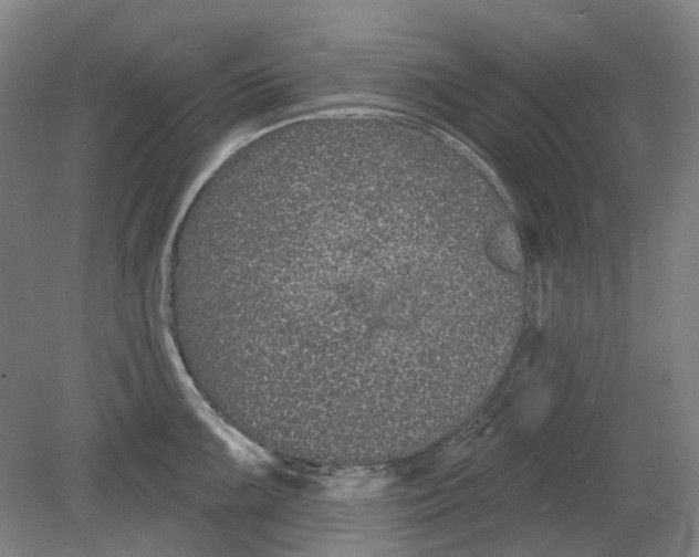 X0000080771099200701051255