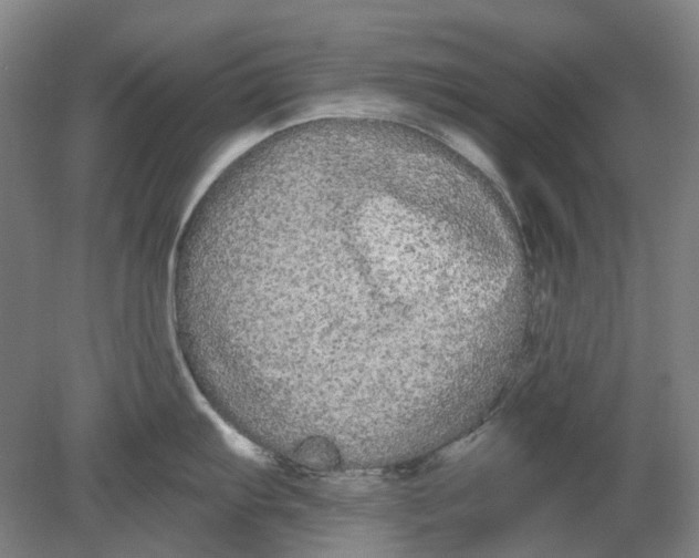 X0000080771103200701051255