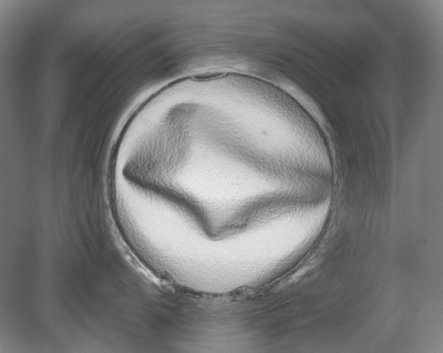 X0000080771104200701051255