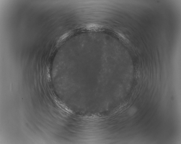 X0000080771106200701051254