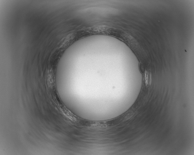 X0000080771107200701051254