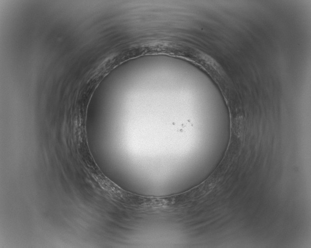 X0000080771111200701051255