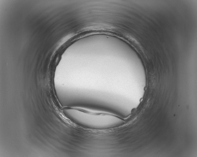 X0000080771114200701051255