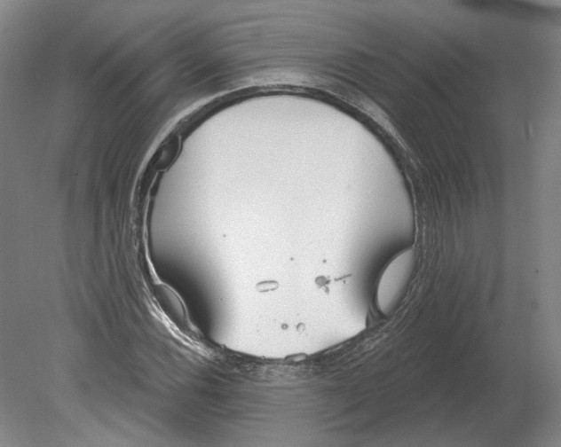 X0000080771116200701051255