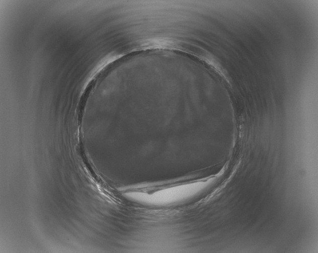 X0000080771117200701051255