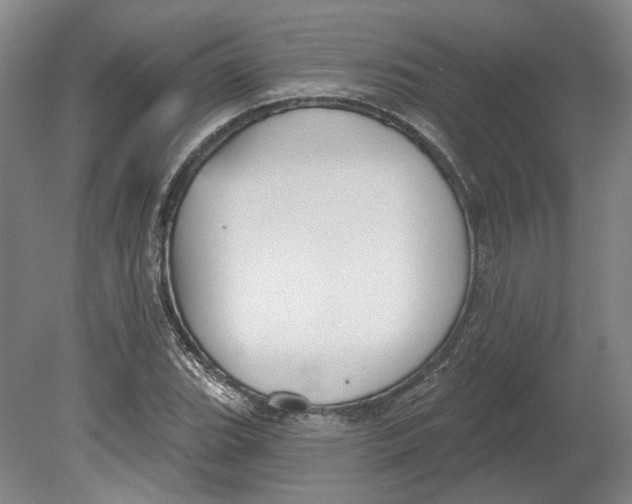 X0000080771119200701051255