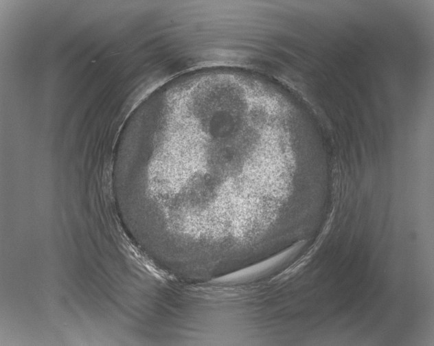 X0000080771121200701051255