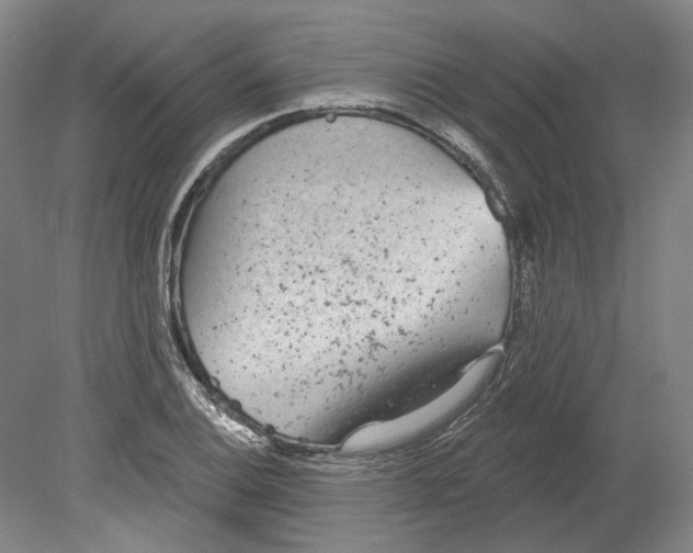 X0000080771124200701051255