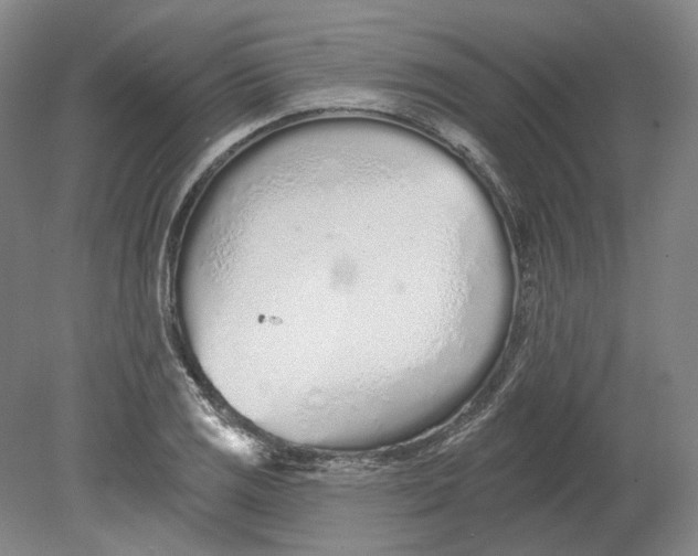 X0000080771125200701051255