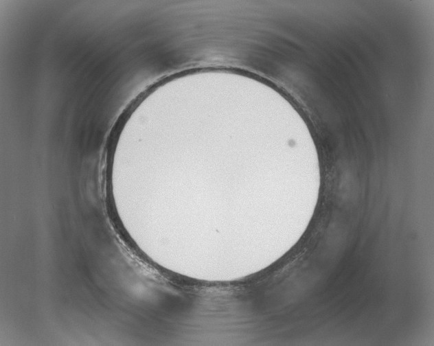 X0000080771126200701051255