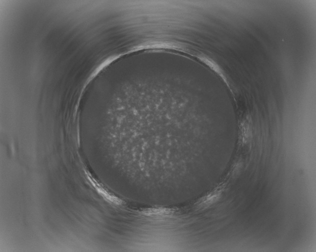 X0000080771127200701051255