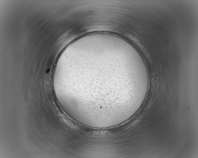 X0000080771129200701051255