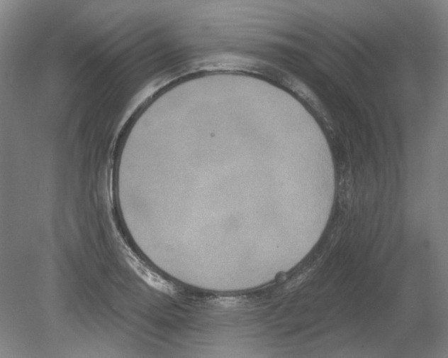 X0000080771130200701051255