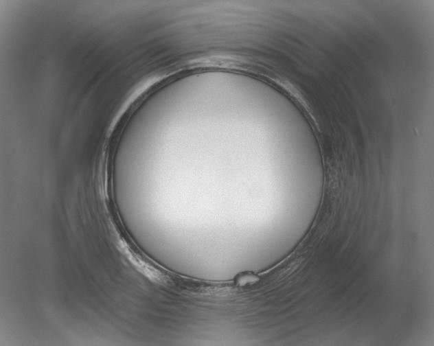 X0000080771131200701051255