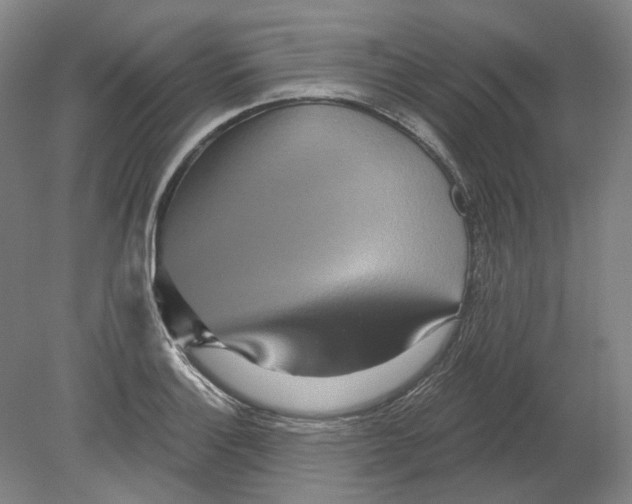 X0000080771132200701051255