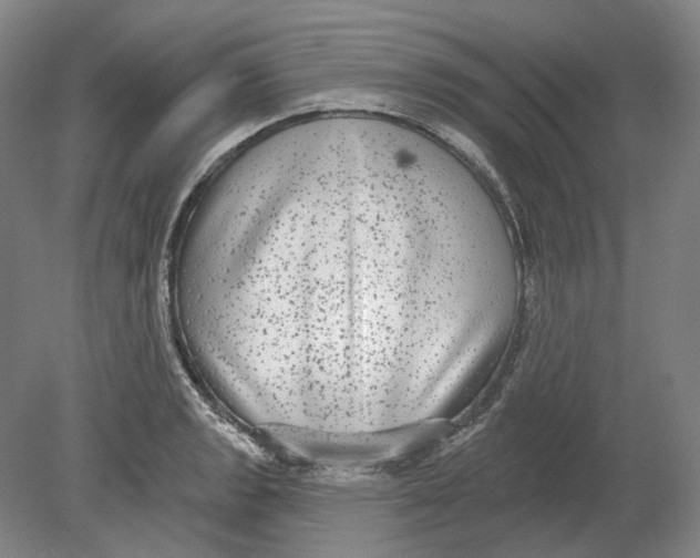 X0000080771133200701051255