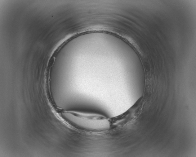 X0000080771134200701051255