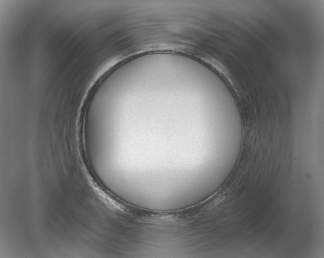 X0000080771135200701051255