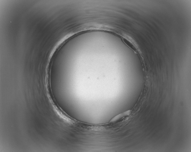 X0000080771136200701051255