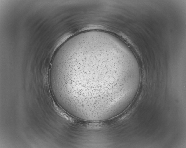 X0000080771137200701051255