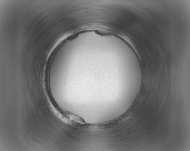 X0000080771139200701051255