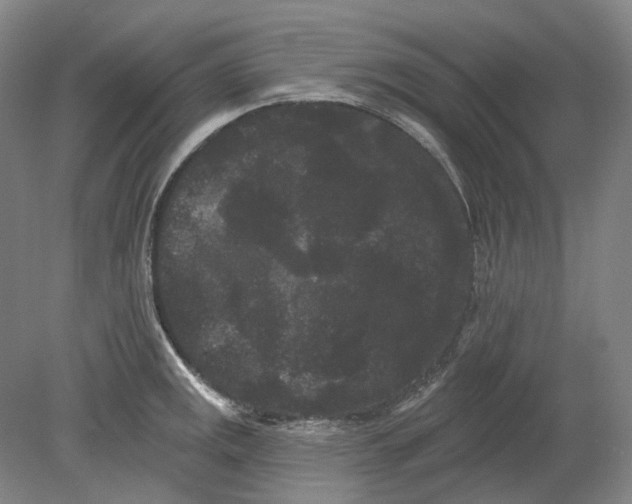 X0000080771141200701051255