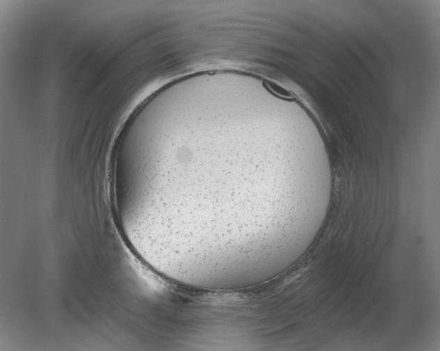 X0000080771143200701051255