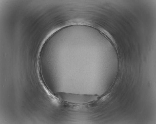 X0000080771144200701051255