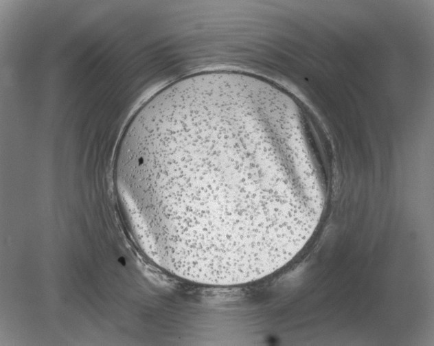 X0000080771145200701051255