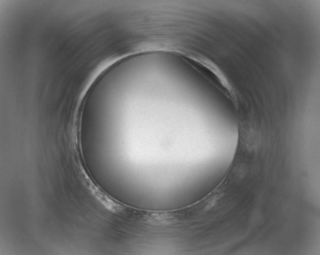 X0000080771148200701051255