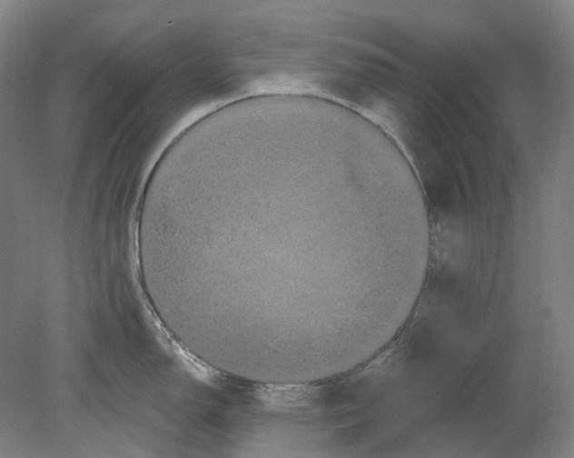 X0000080771150200701051255