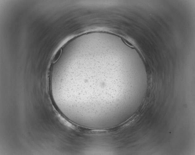 X0000080771151200701051255