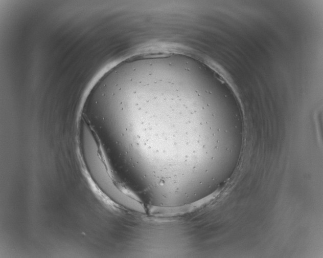 X0000080771152200701051255