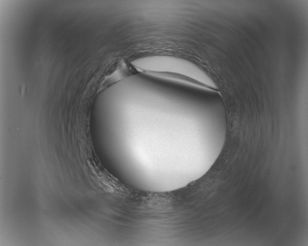 X0000080771153200701051254