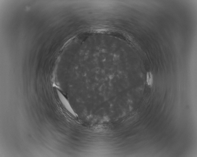 X0000080771155200701051254