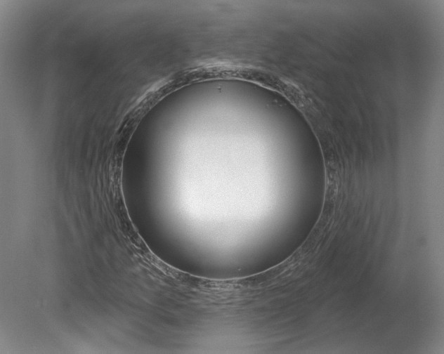 X0000080771157200701051254