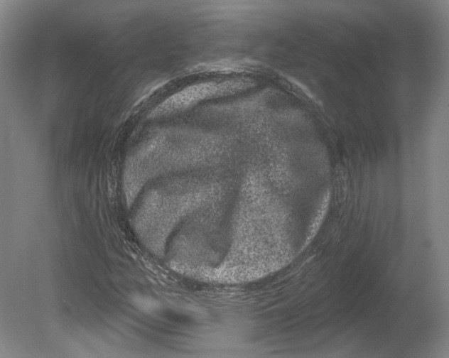 X0000080771158200701051254