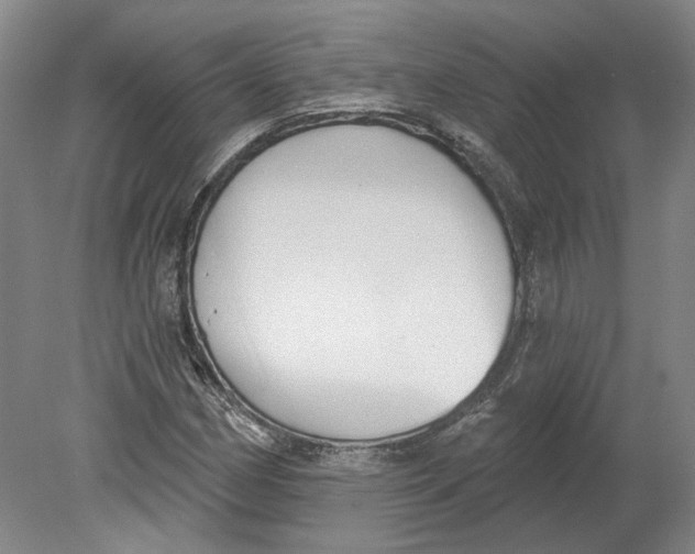 X0000080771162200701051254