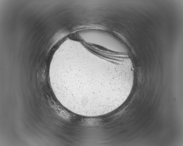 X0000080771163200701051254