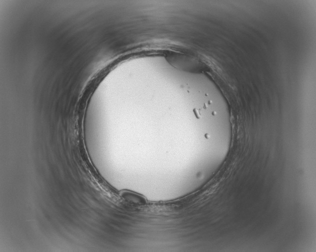 X0000080771164200701051254