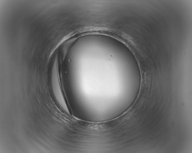 X0000080771165200701051254