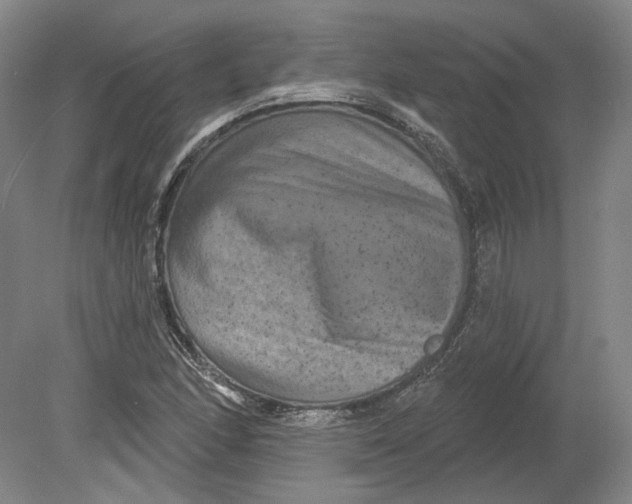 X0000080771166200701051254