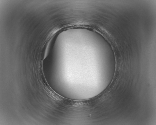 X0000080771169200701051254