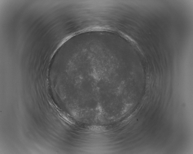 X0000080771170200701051254