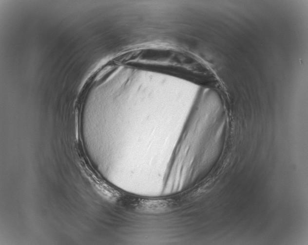 X0000080771171200701051254