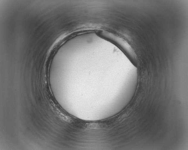 X0000080771172200701051254