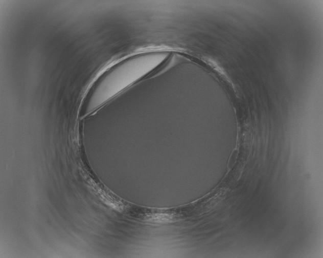 X0000080771173200701051254