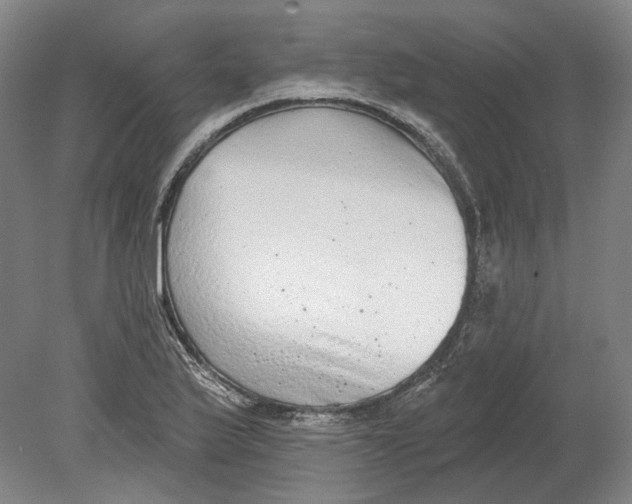 X0000080771175200701051254